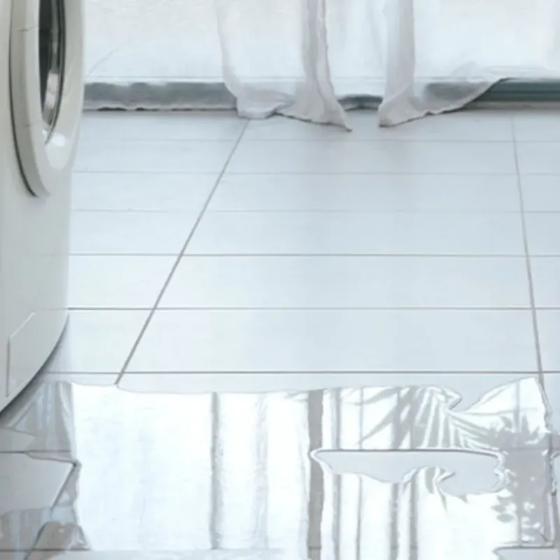 Appliance Leak Cleanup in Lawai, HI